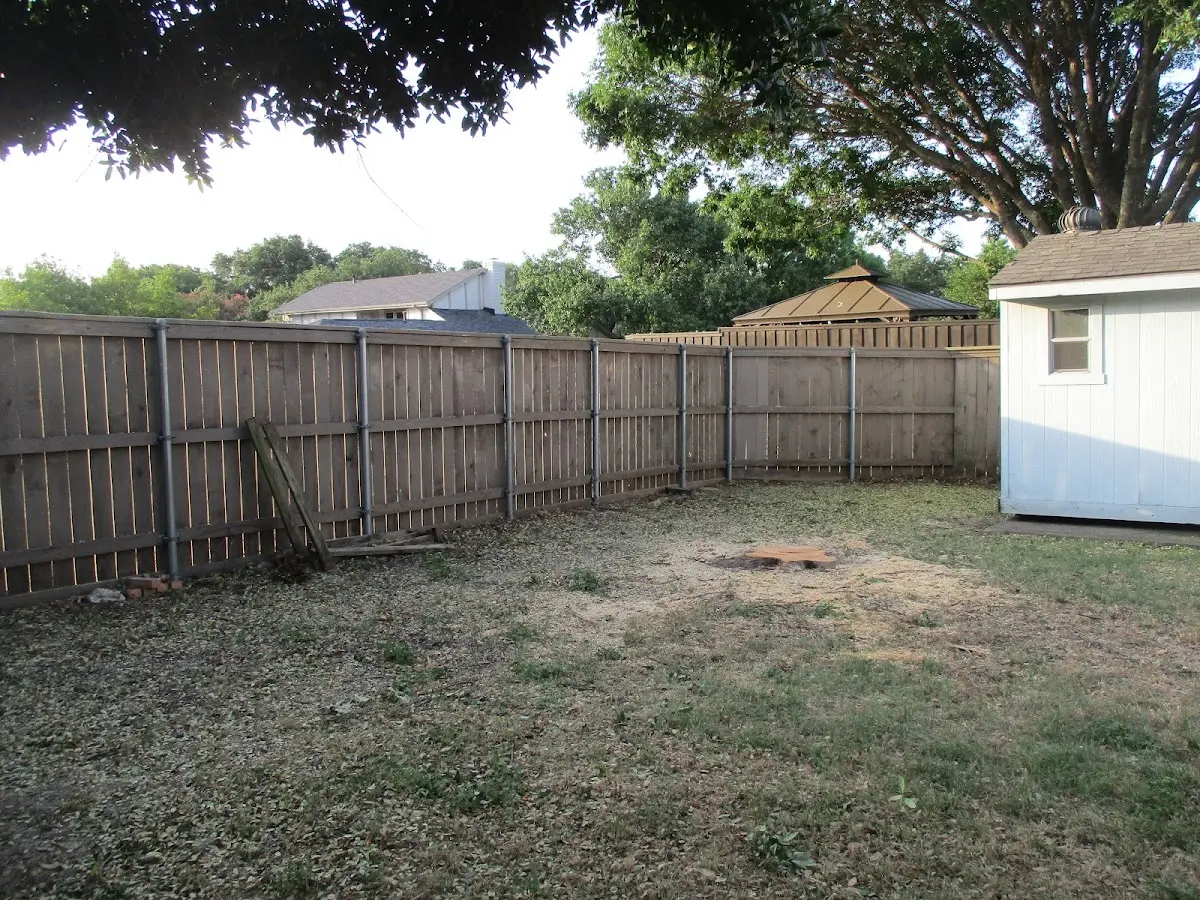 Cleared yard after professional tree removal in Gentryville